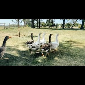 Meet your Posher, Kripa